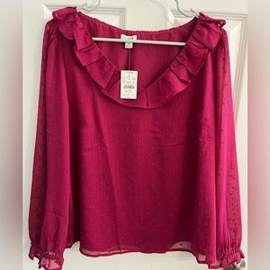 Brand, new J crew blouse